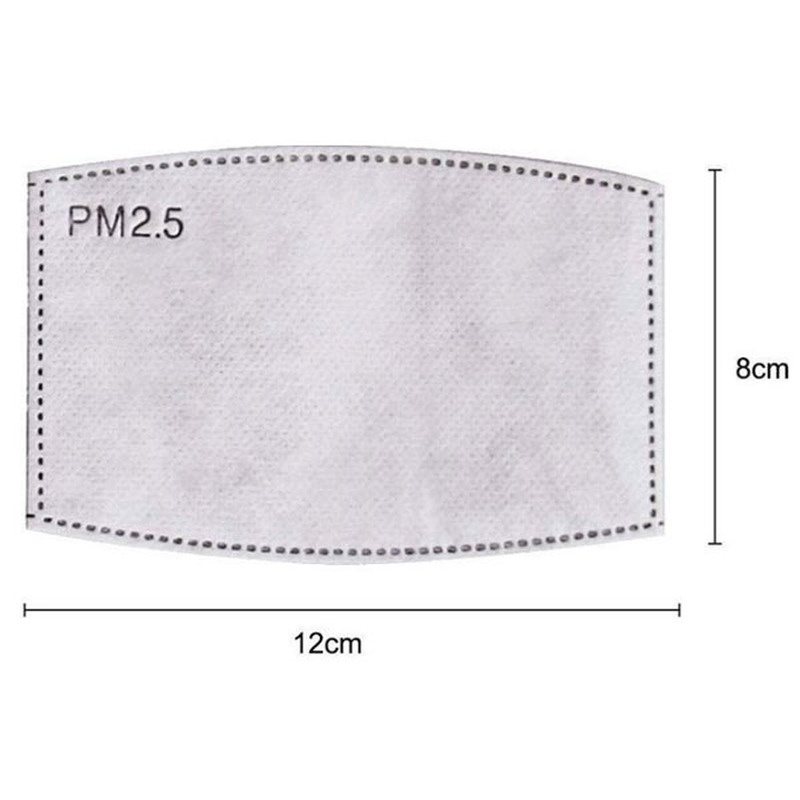 2PCS Mask Filter Element PM2.5 - Pm2.5 Filter Insert 评论和价格